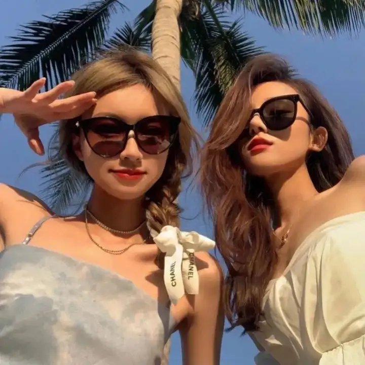 津门飞鹰